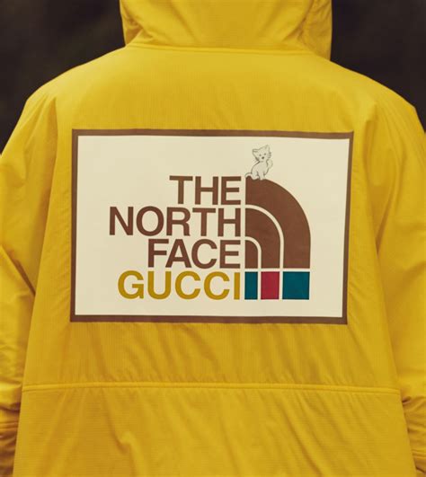 the north face gucci 2022|1970s Gucci north face.